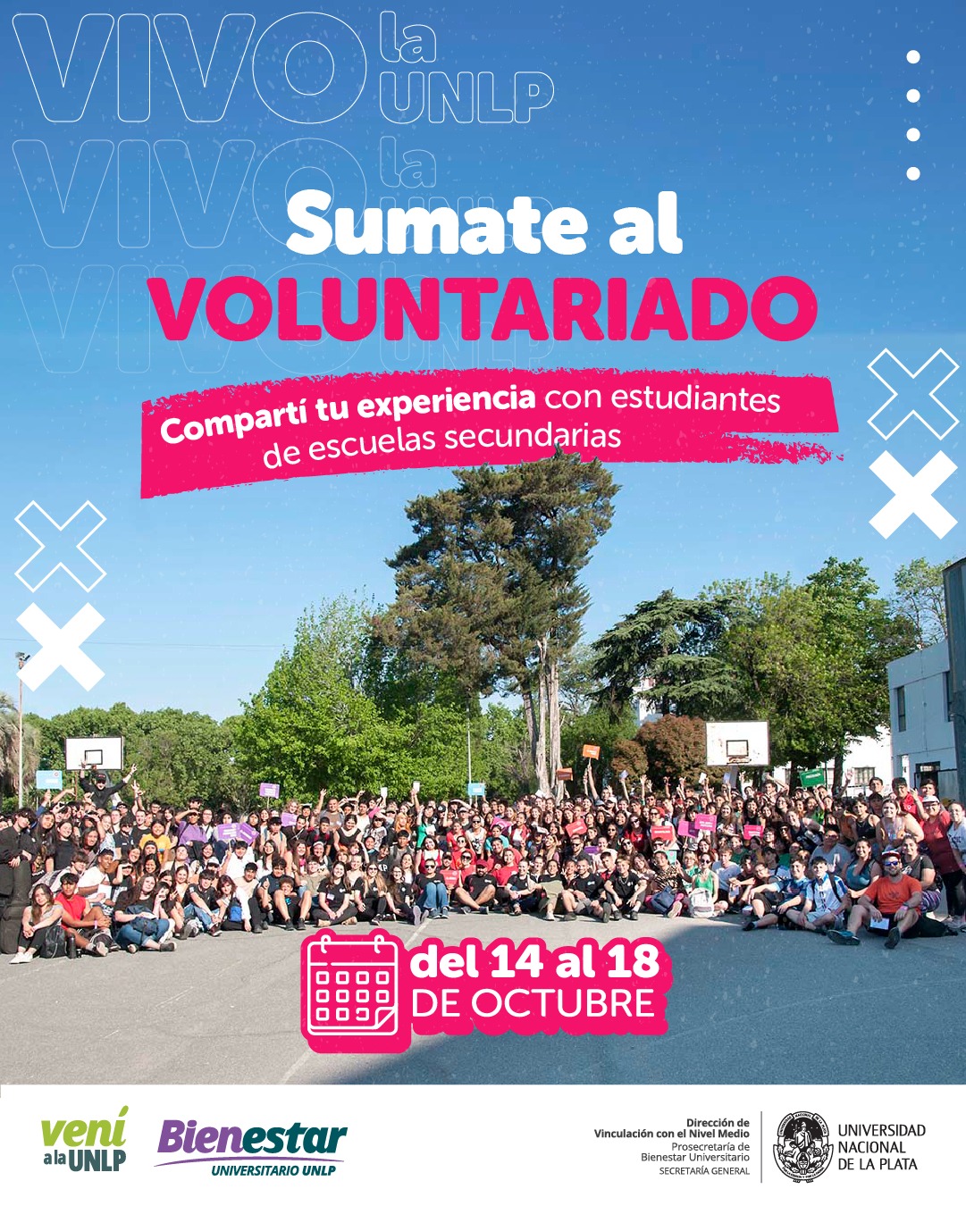 Voluntariado universitario