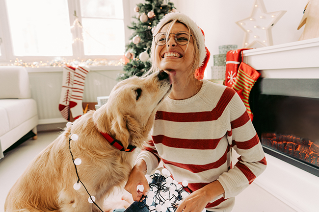 Photo of young woman and her dog enjoying together at home in a Christmas atmosphere