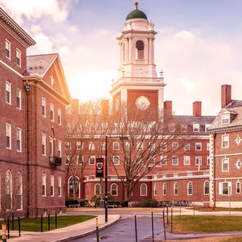 Inteligencia artificial con Python: cómo cursar gratis el programa de Harvard