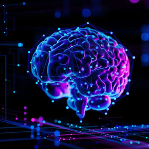 Ni dieta ni ejercicio: por qué la contaminación y la desigualdad envejecen tu cerebro