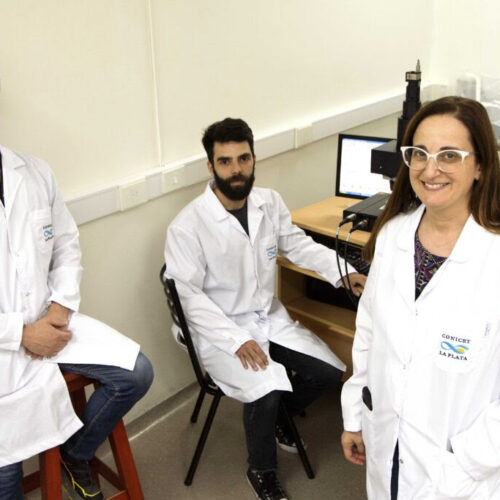 Alerta en el fin del mundo: hay microplásticos en el aire del Canal Beagle